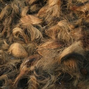 Bulk Coconut Coir