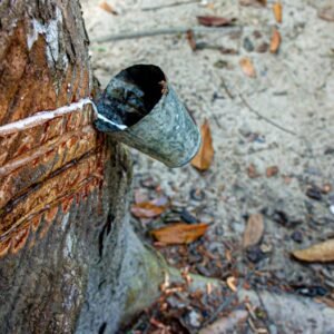 Bulk Natural Rubber