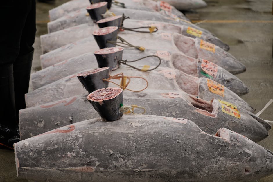 Frozen Yellowfin Tuna (Bulk Export)