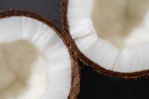 Coconut Milk Powder