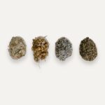 Herbal tea blends