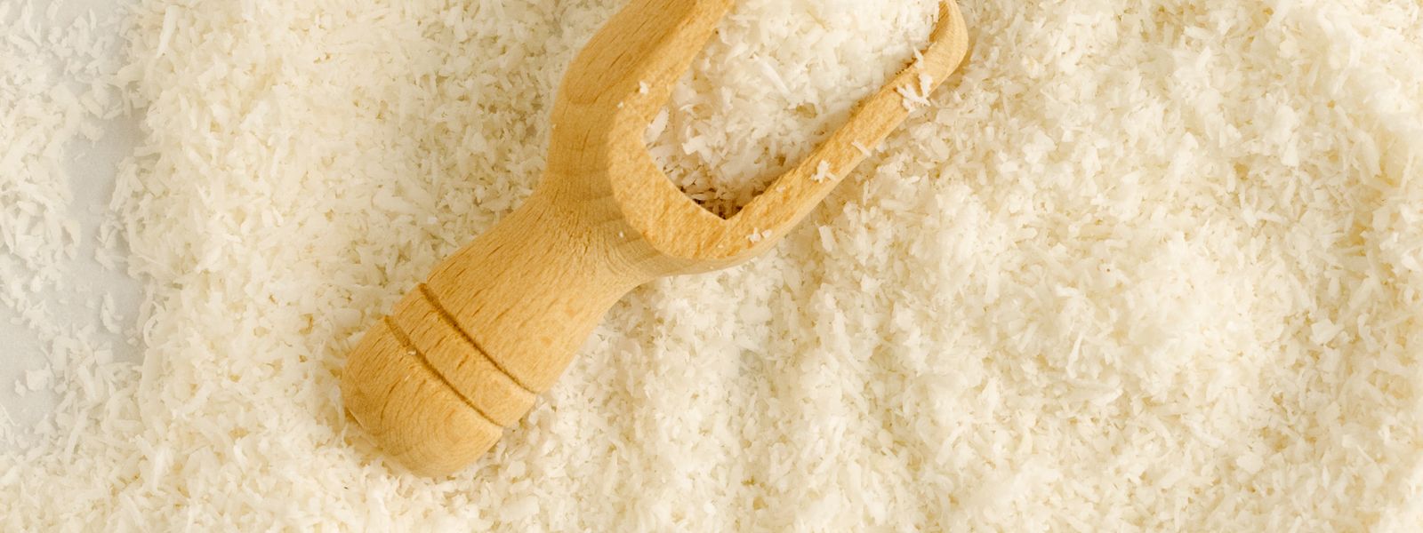 Desiccated Coconut from Sri Lanka