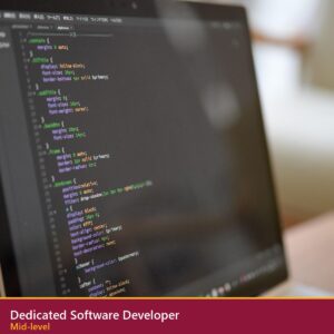 Dedicated Software Developer, Mid-level