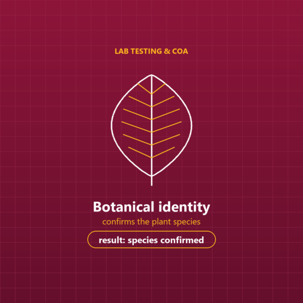 Botanical Identity Test, Plant Species Confirmation, Lab Report