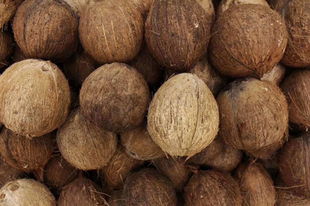 Fresh Husked Coconuts (Mature, Bulk Export)