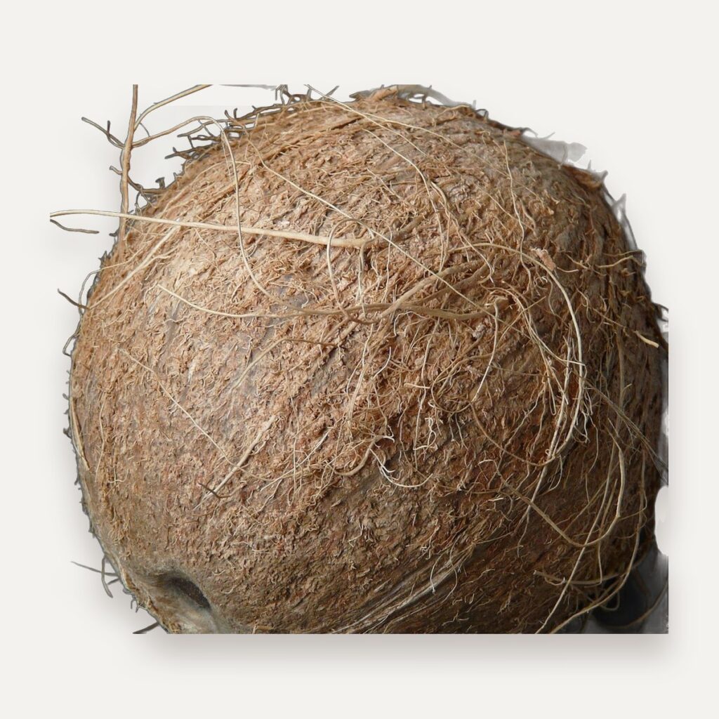 Coconut Husk Chips for Orchids and Potting Mixes, Washed Low EC, Buffered Option, Bulk, Sri Lanka
