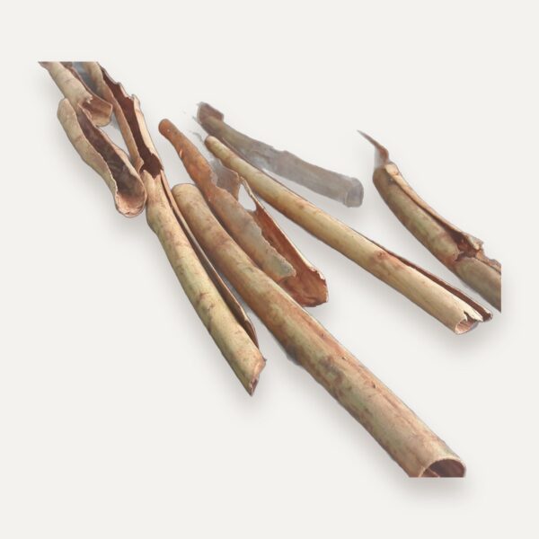 Ceylon Cinnamon Quillings (Grinding Grade, Bulk)