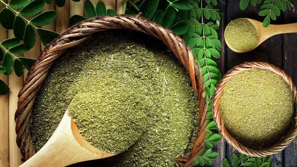 Moringa Leaf Powder, Dried Leaves, Wholesale, Sri Lanka