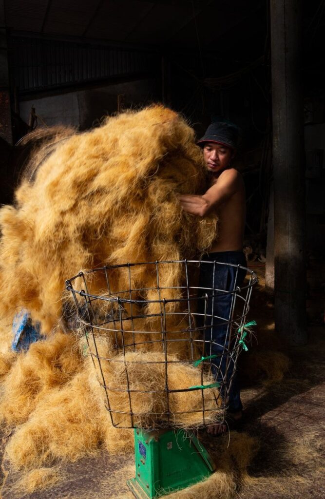 Coconut Coir Bird Nesting Material, Natural Fibre for Nest Boxes and Aviaries, Bulk or Private Label, Sri Lanka