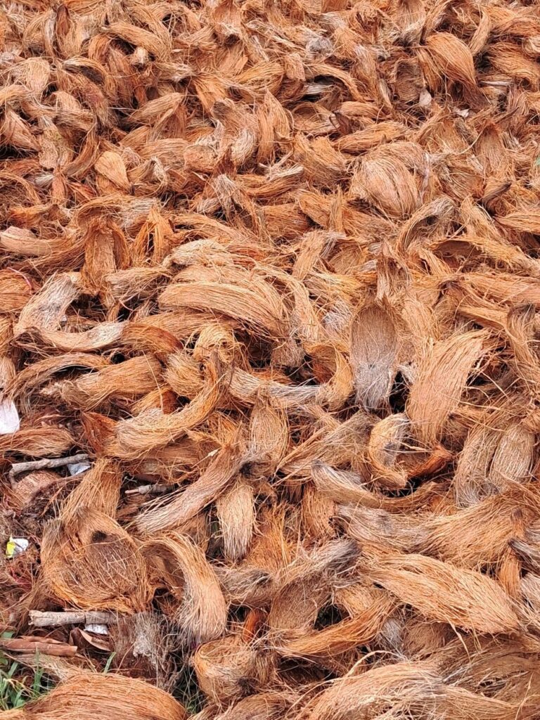 Coir Erosion Control Blankets, Woven Coir Mesh 400, 700 and 900 g/m2, Rolls for Slopes and Streambanks, Sri Lanka