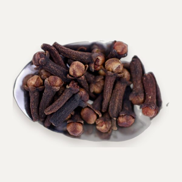 Fresh Clove Seed (Syzygium aromaticum) for Nurseries, Cleaned, Express Air, Sri Lanka