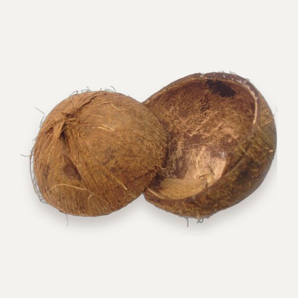 Coconut Shell Reptile Hides, Aquarium Caves and Small Pet Huts, Natural Shell, Wholesale, Sri Lanka