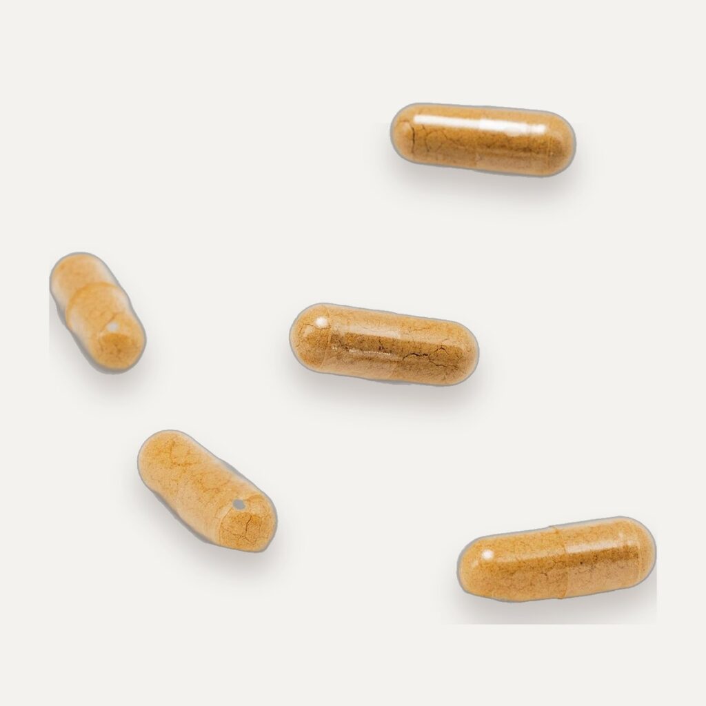 Ceylon Cinnamon Capsules, Private Label Supplement Capsules, Bottled or Bulk, Made in Sri Lanka