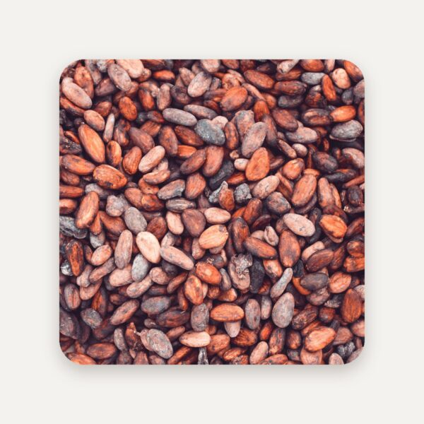 Sri Lankan Cocoa Beans, Fermented and Sun-Dried, Trinitario and Forastero Types, Bulk Sacks, Sri Lanka