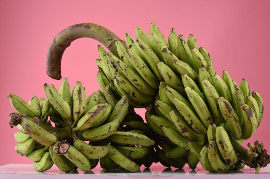 Fresh Bananas, Ambul, Kolikuttu and Cavendish, Cartons, Air or Reefer Export, Sri Lanka