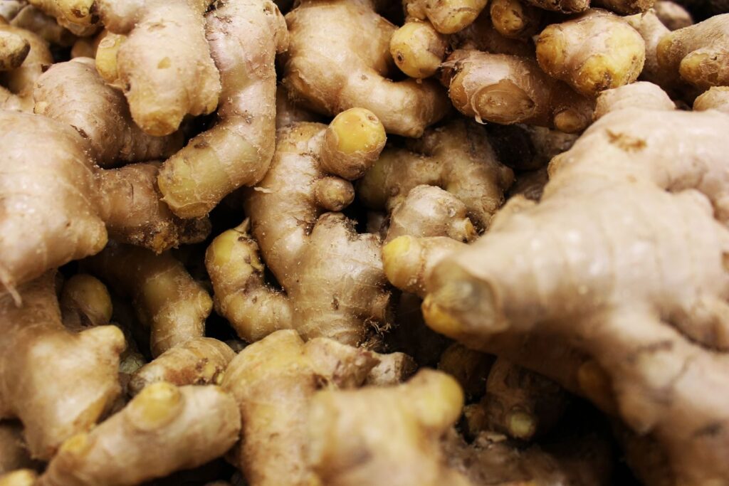 Ginger and Turmeric Planting Rhizomes (Seed Rhizomes), Bare, for Growers, Sri Lanka