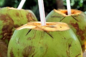 Young green coconuts for coconut water